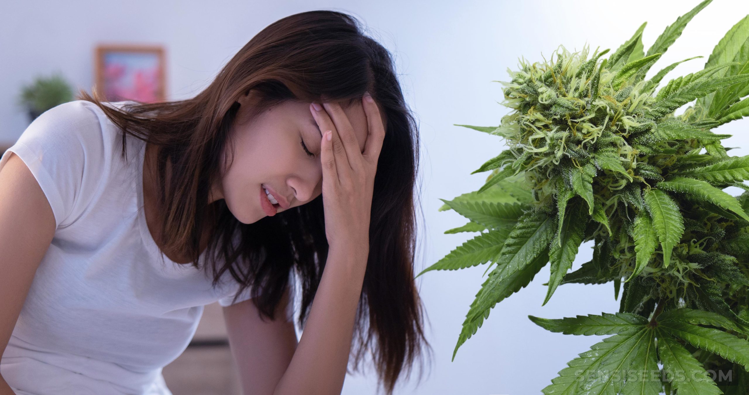 Est-ce que le CBD calme les douleurs ?