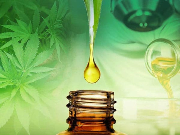 A quelle fréquence utiliser l&rsquo;huile de CBD ?