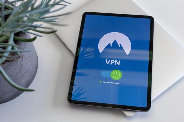 VPN pour 1 mois avantages et inconvénients